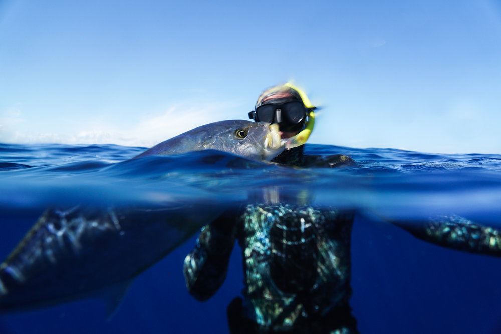 Spearfishing Charters Islamorada Offshore Deep Sea Fishing Charters In Florida Keys Fl