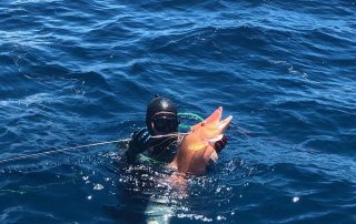 spearfishing charters islamorada 4reel
