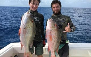 spearfishing charters islamorada offshore