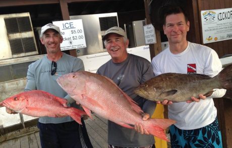 Offshore Deep Sea Fishing Charters In Islamorada Florida Keys Mutton Snapper - 4reel Fishing Charters
